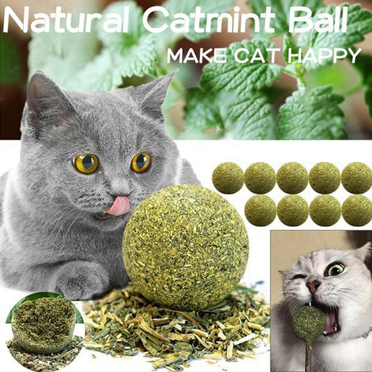 Pet Catnip Toys Edible Catnip Ball Safety Healthy Cat Mint Cats Home Chasing Game Toy Products Clean Teeth The Stomach Catmint